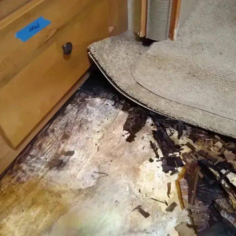 Wood Floor Water Damage in Vernon County, WI